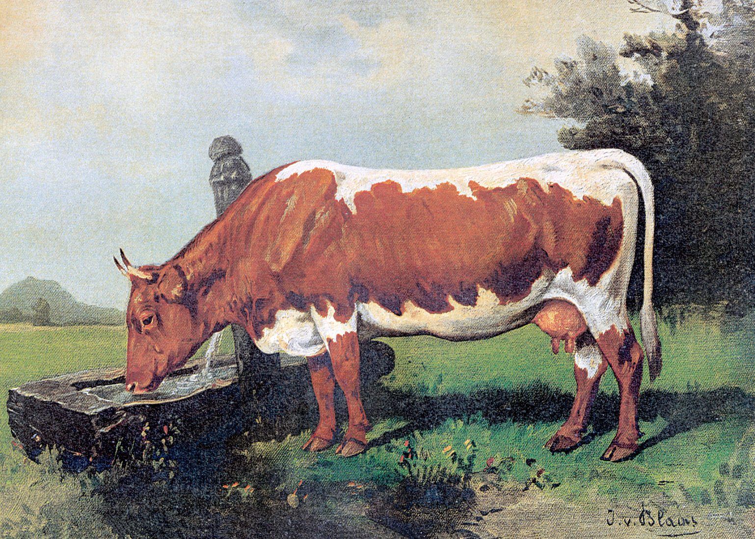 Ein Jahrhundert Rinderzucht Salzburg.png © Rinderzucht Salzburg Ein Jahrhundert Rinderzucht Salzburg.png © Rinderzucht Salzburg