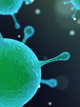 Lebensmittelhygiene Lebensmittelhygiene