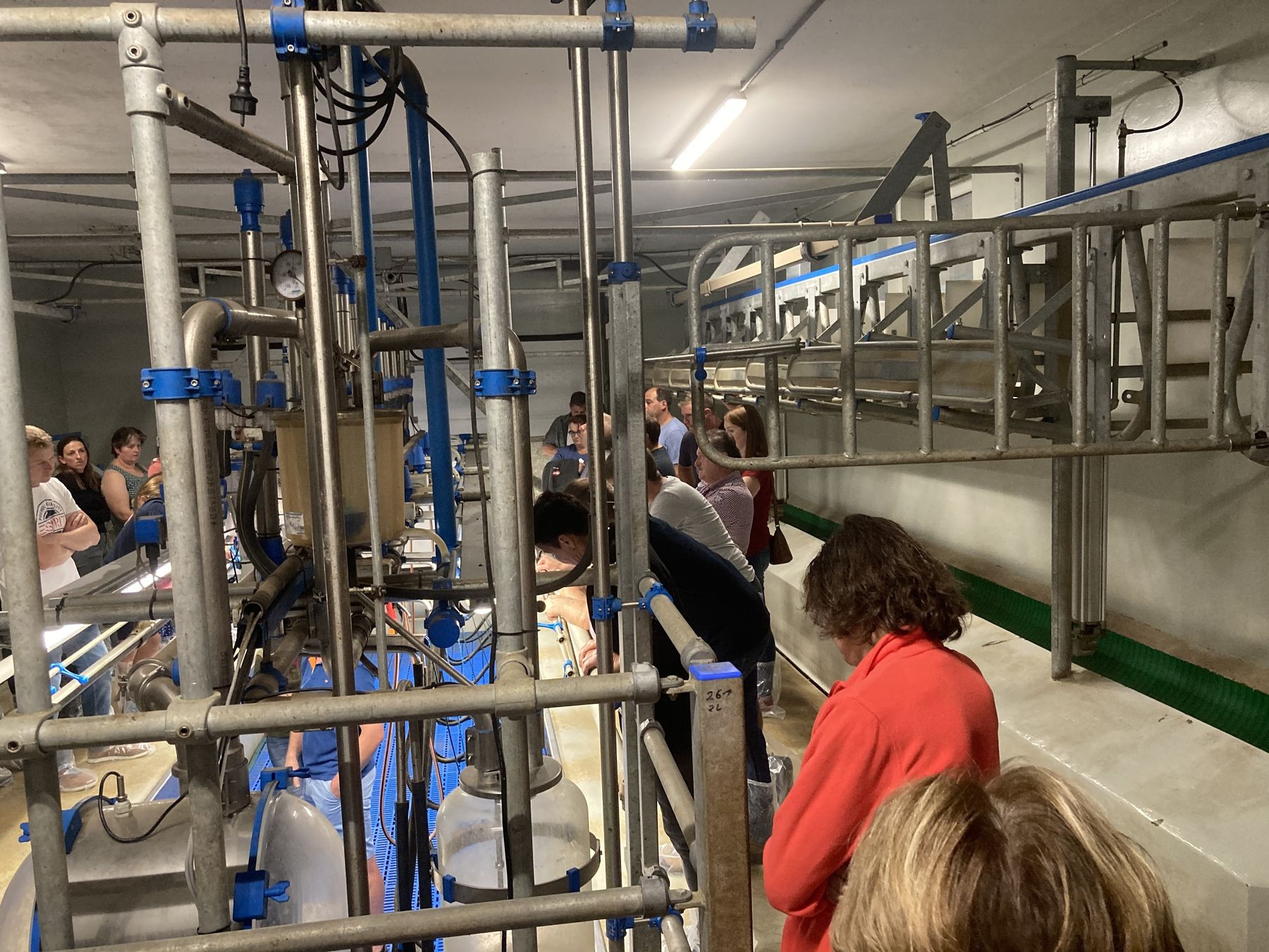 Melkstand_Maria Wieseneder/BBK Melk.jpg © Maria Wieseneder/BBK Melk Melkstand_Maria Wieseneder/BBK Melk.jpg © Maria Wieseneder/BBK Melk