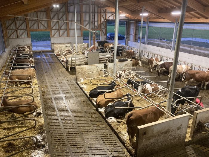 [1629971114282325_1.jpg]