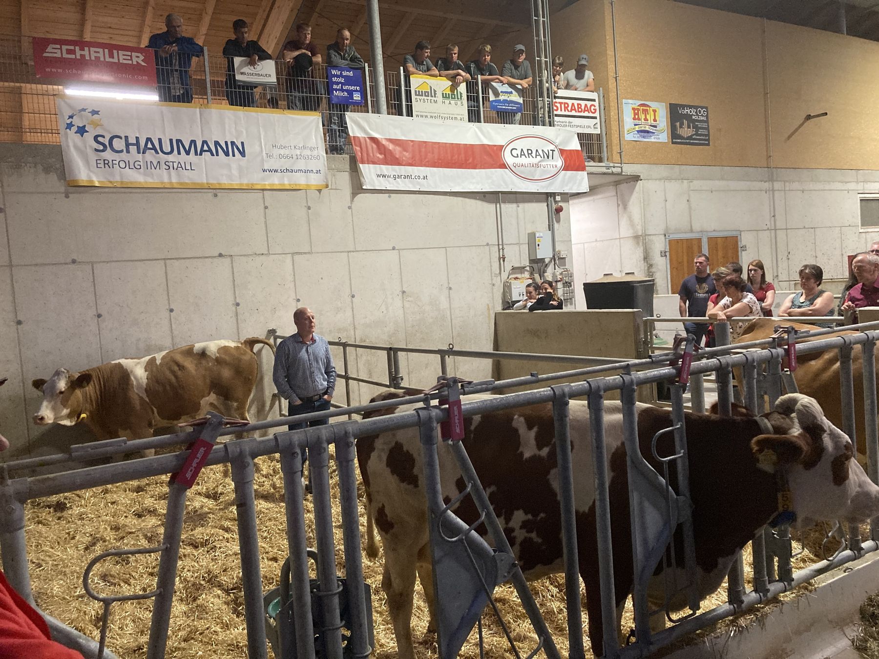 Milchviehstall_(c)Maria Wieseneder/BBK Melk .jpg © Maria Wieseneder/BBK Melk Milchviehstall_(c)Maria Wieseneder/BBK Melk .jpg © Maria Wieseneder/BBK Melk