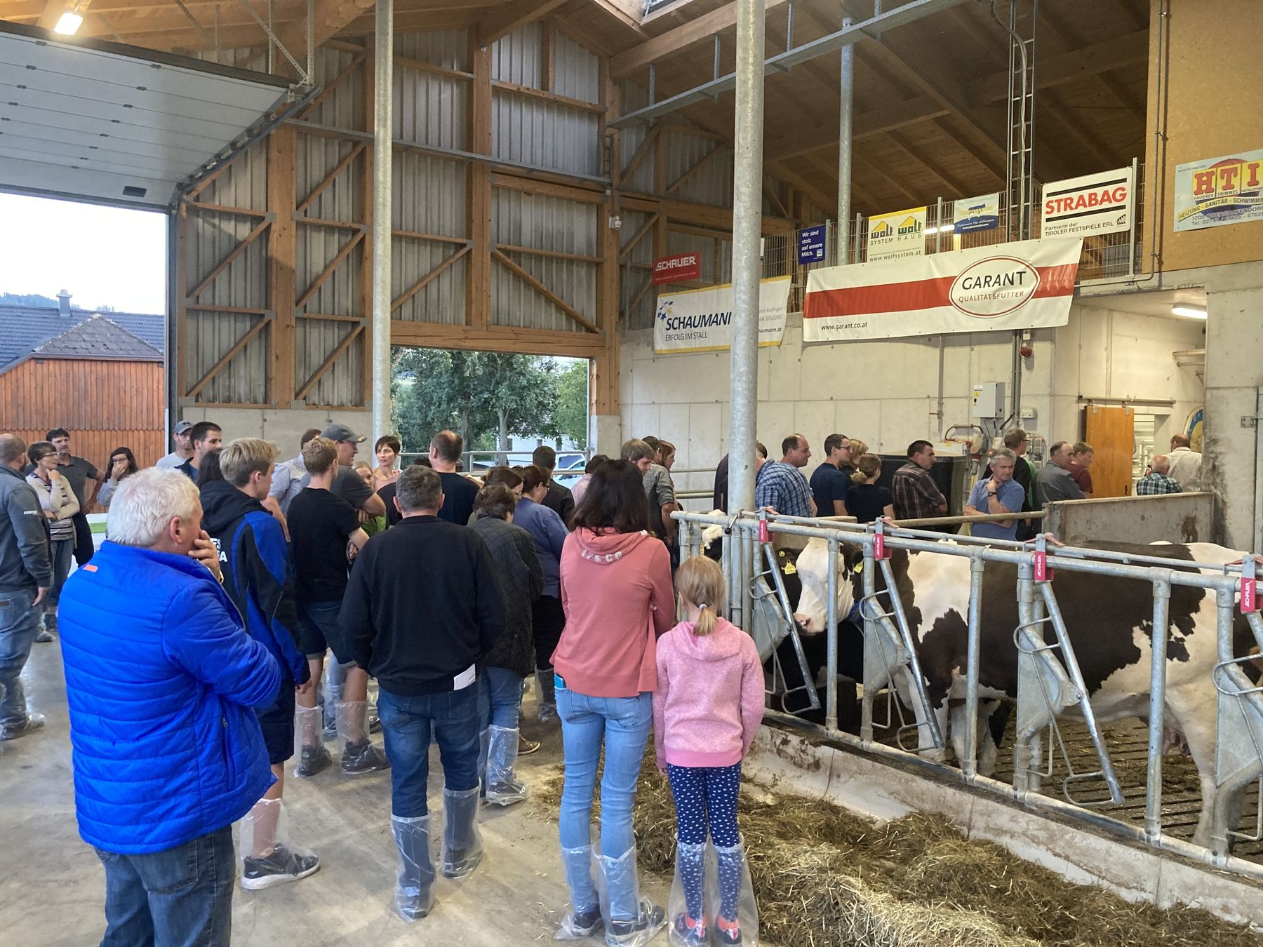 Milchviehstallung_(c) Maria Wieseneder/BBK Melk .jpg © Maria Wieseneder/BBK Melk Milchviehstallung_(c) Maria Wieseneder/BBK Melk .jpg © Maria Wieseneder/BBK Melk