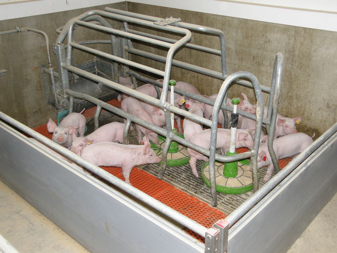 Produktionsrhythmus.jpg © LK Kärnten/Mak Produktionsrhythmus.jpg © LK Kärnten/Mak