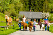 Sparziergang mit Tieren © Wolfgang Spekner