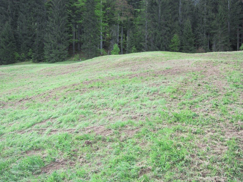 Grünland sähen © Lukdas Peer Grünland sähen © Lukdas Peer