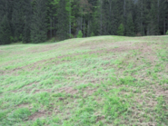 Grünland sähen © Lukdas Peer Grünland sähen © Lukdas Peer