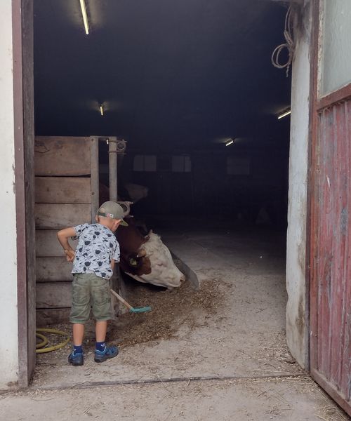 2021 am Erlebnisbauernhof Muck in Trasdorf 2021 am Erlebnisbauernhof Muck in Trasdorf