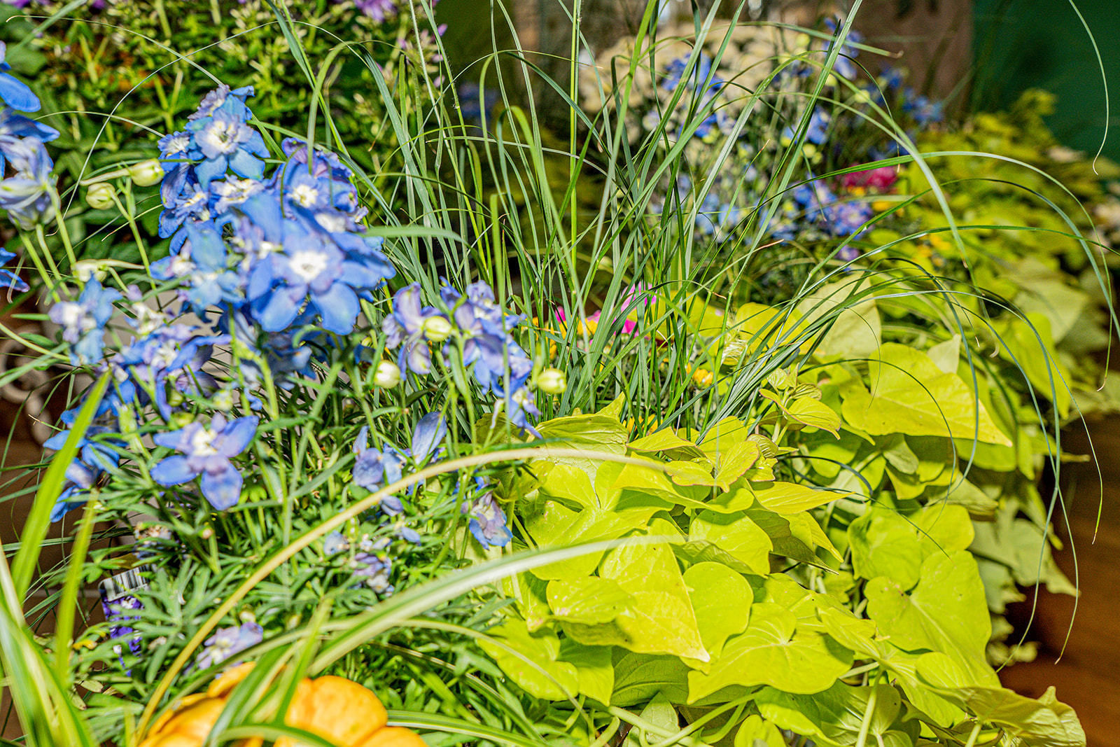 © Georg Pomassl/LK Niederösterreich © Georg Pomassl/LK Niederösterreich