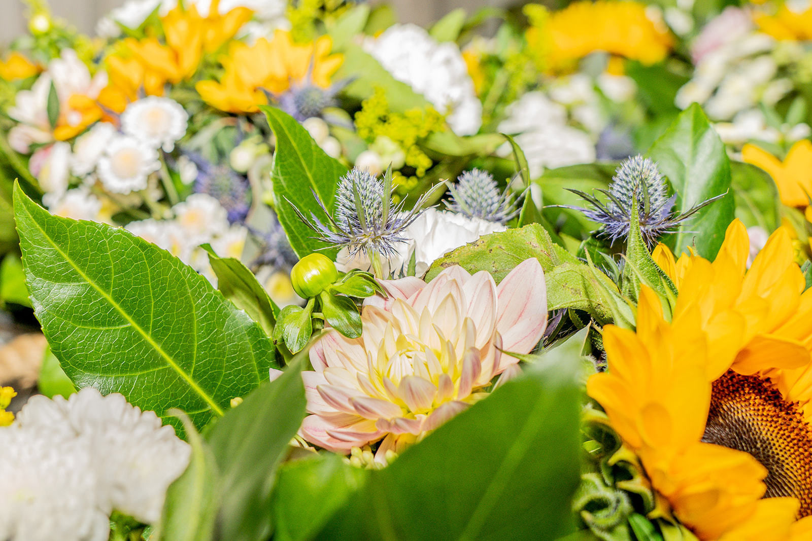 © Georg Pomassl/LK Niederösterreich © Georg Pomassl/LK Niederösterreich