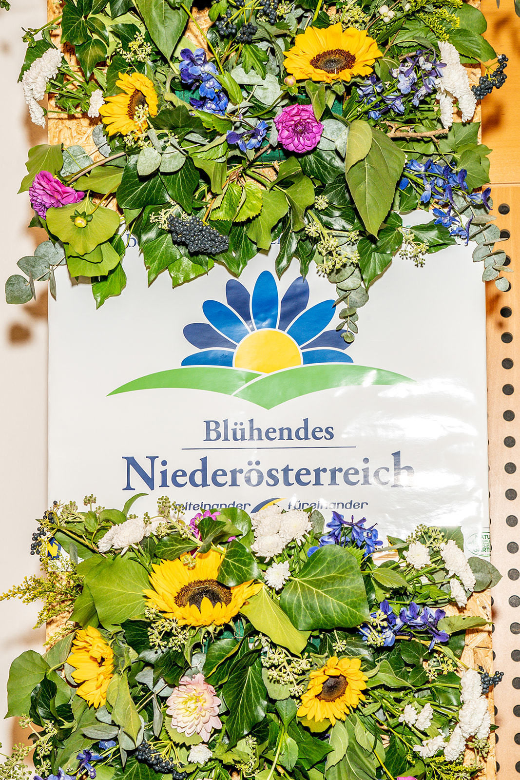 © Georg Pomassl/LK Niederösterreich © Georg Pomassl/LK Niederösterreich