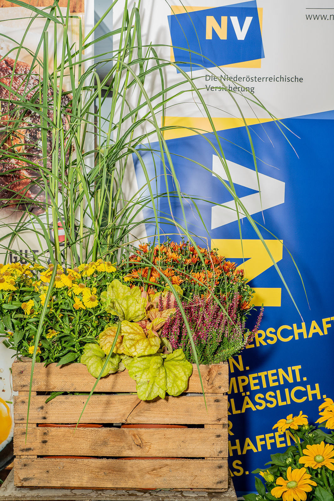 © Georg Pomassl/LK Niederösterreich © Georg Pomassl/LK Niederösterreich