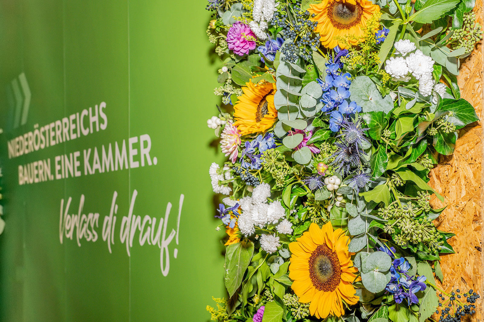 © Georg Pomassl/LK Niederösterreich © Georg Pomassl/LK Niederösterreich