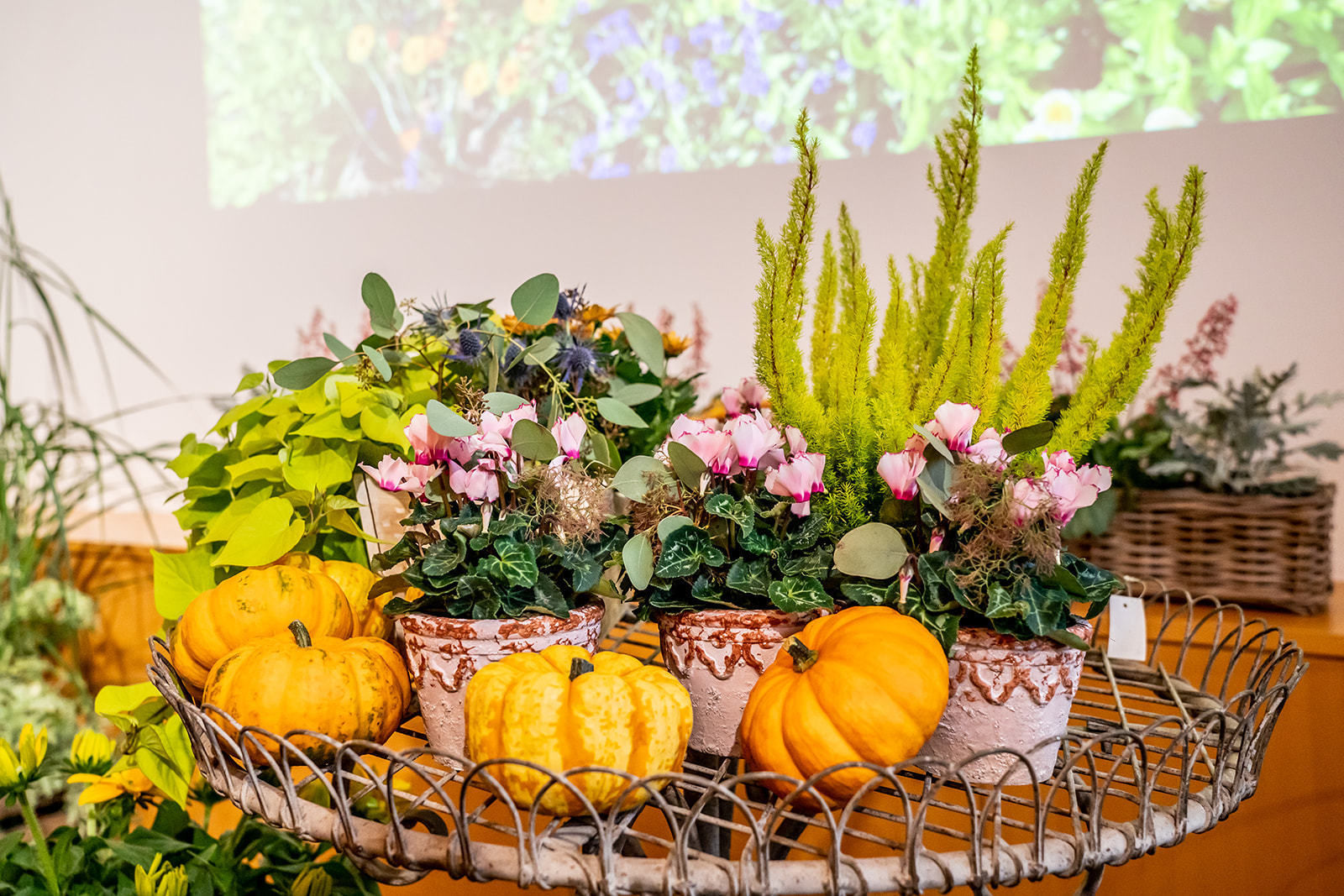 © Georg Pomassl/LK Niederösterreich © Georg Pomassl/LK Niederösterreich