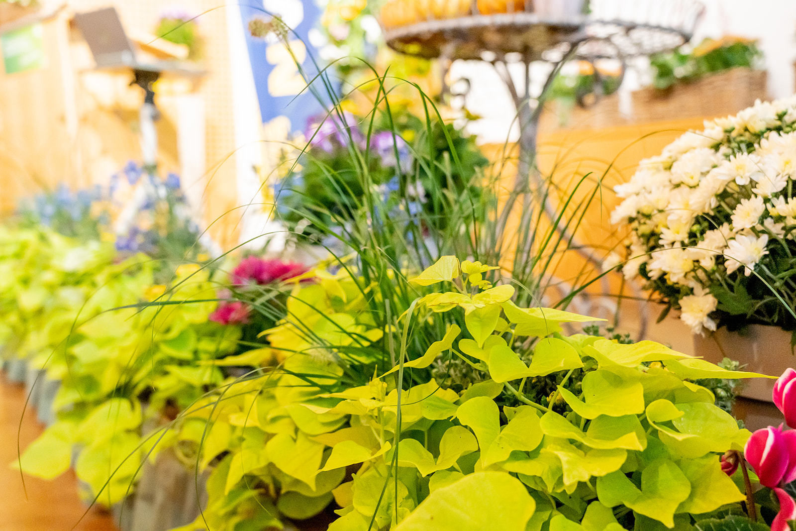 © Georg Pomassl/LK Niederösterreich © Georg Pomassl/LK Niederösterreich