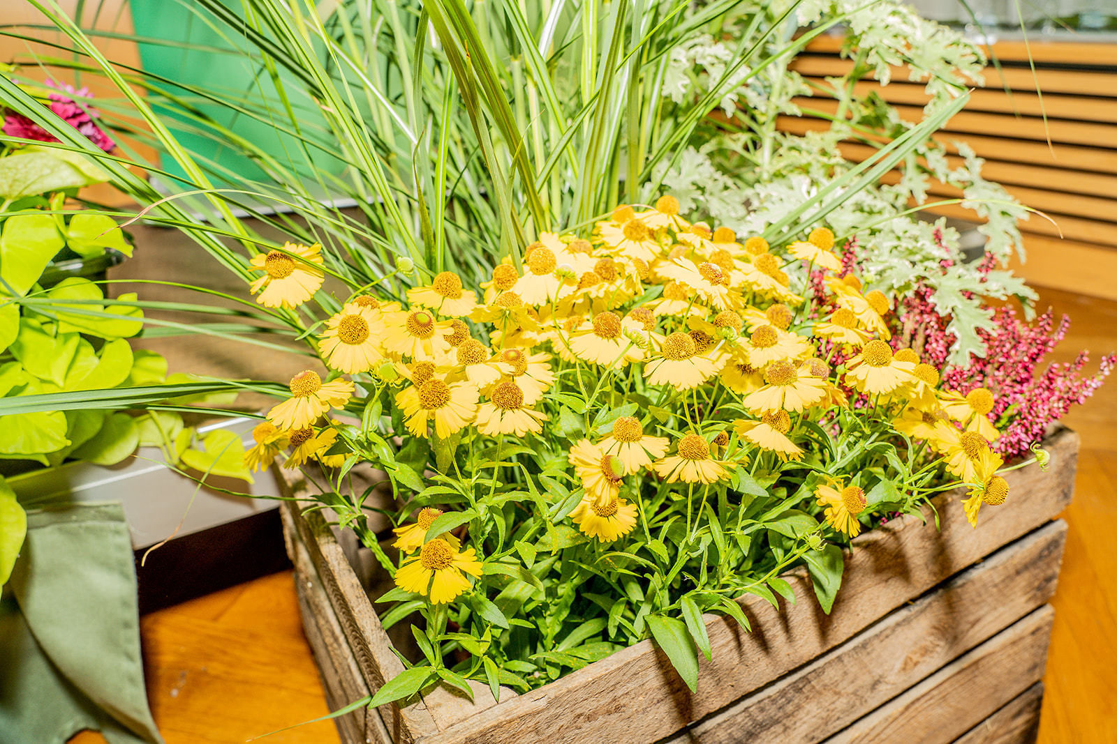 © Georg Pomassl/LK Niederösterreich © Georg Pomassl/LK Niederösterreich