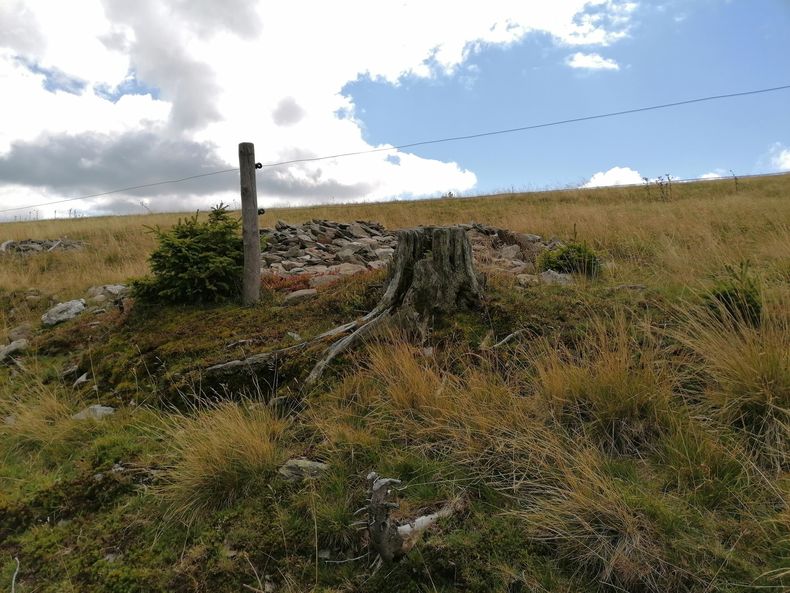 IMG 20210901 130006.jpg IMG 20210901 130006.jpg