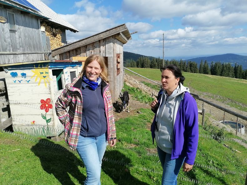 IMG 20210901 151158.jpg IMG 20210901 151158.jpg