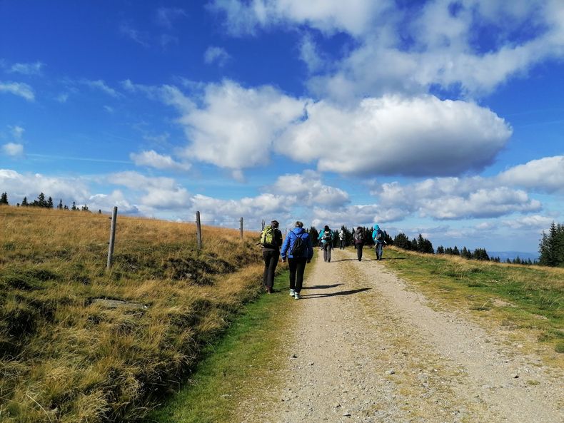 IMG 20210901 153027.jpg IMG 20210901 153027.jpg