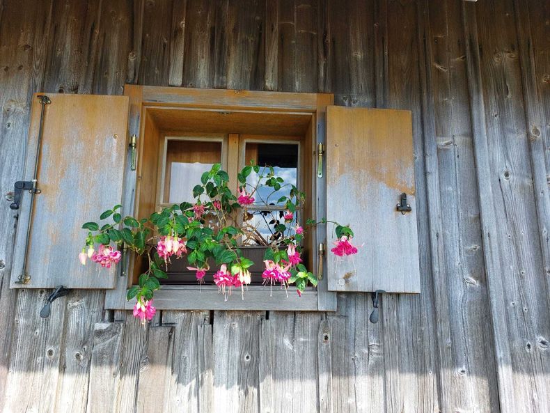 IMG-20210901-WA0027.jpg IMG-20210901-WA0027.jpg