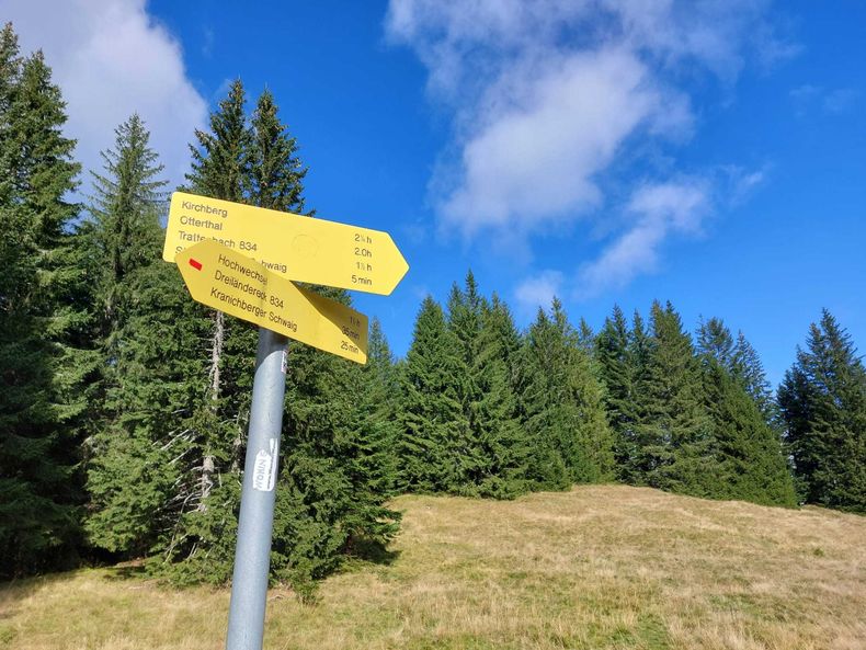 IMG-20210901-WA0035.jpg IMG-20210901-WA0035.jpg