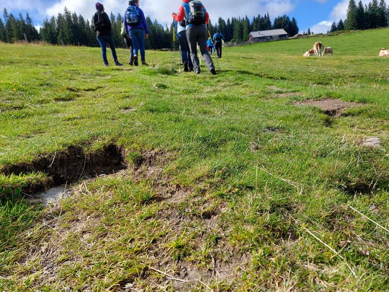 IMG-20210901-WA0045.jpg IMG-20210901-WA0045.jpg