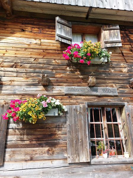 IMG-20210901-WA0049.jpg IMG-20210901-WA0049.jpg