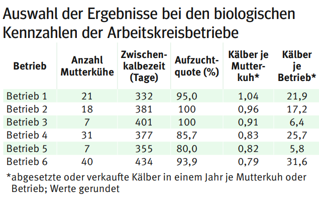 Mutterkuhaltung.png © LK Kärnten Mutterkuhaltung.png © LK Kärnten