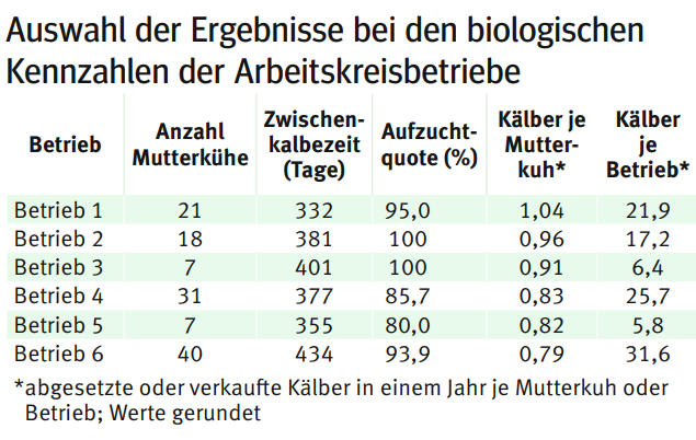 Mutterkuhaltung.png