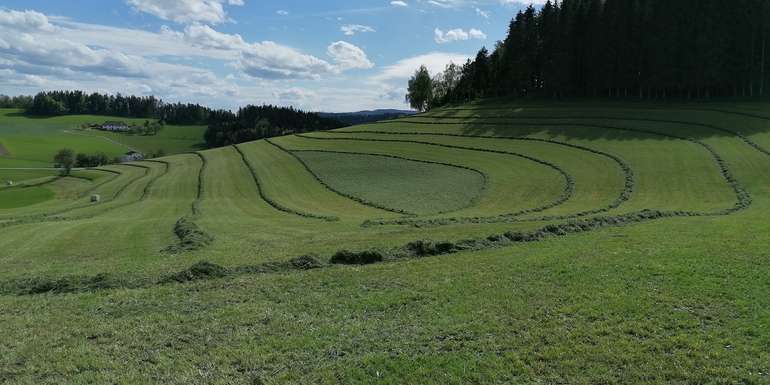 Grünland.jpg Grünland.jpg