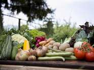 Gemüse 45 (Klein).jpg © LK VBG Gemüse 45 (Klein).jpg © LK VBG