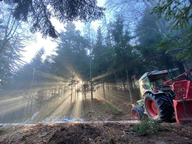 Arbeiten im Wald Arbeiten im Wald