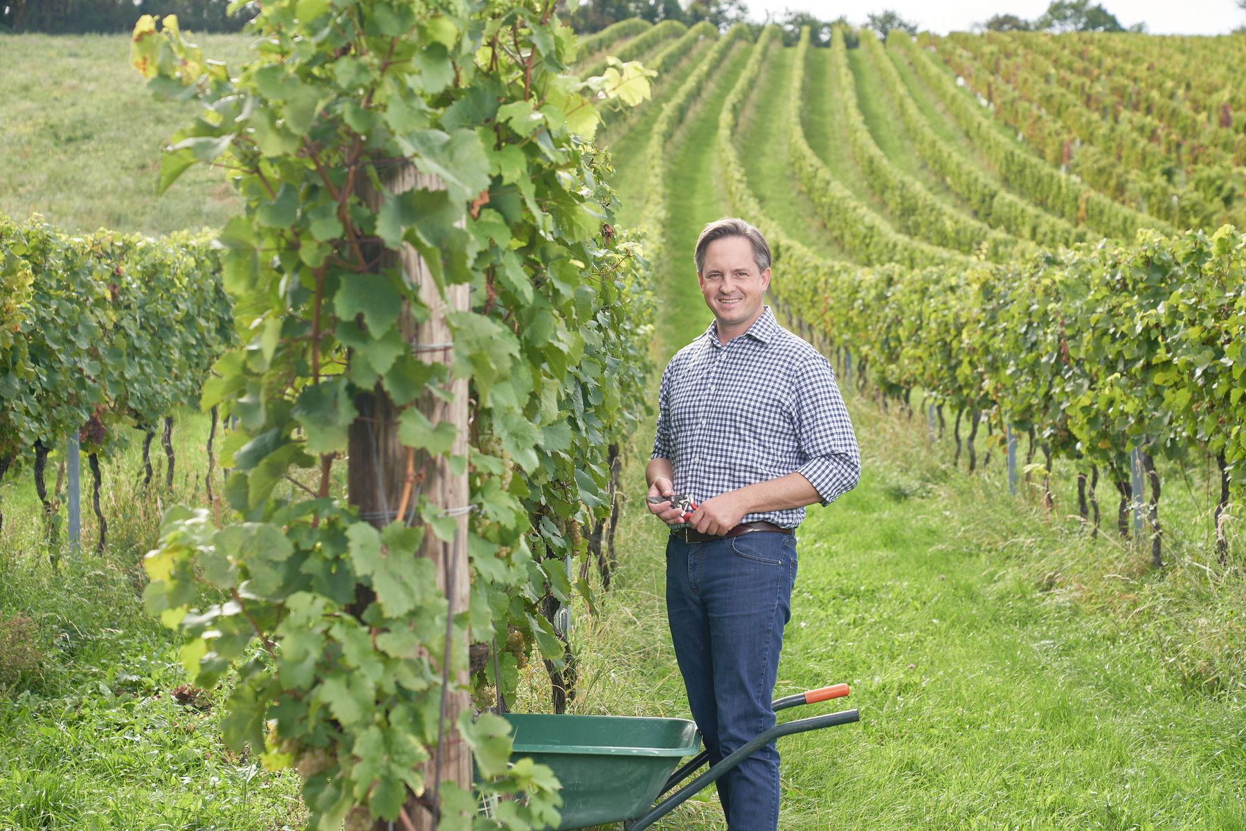 Weinbaupräsident Johannes Schmuckenschlager