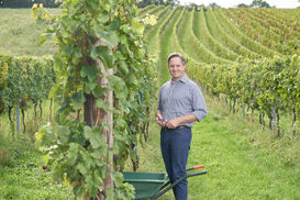 Weinbaupräsident Johannes Schmuckenschlager