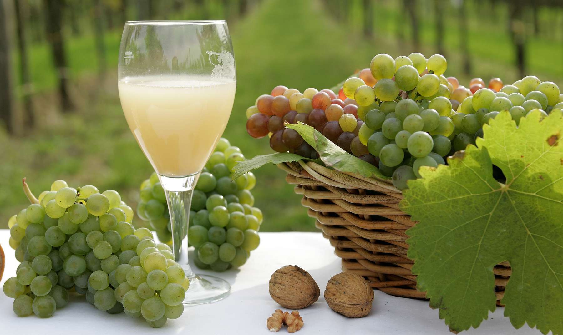 Wein © Ernst Weingartner Wein © Ernst Weingartner