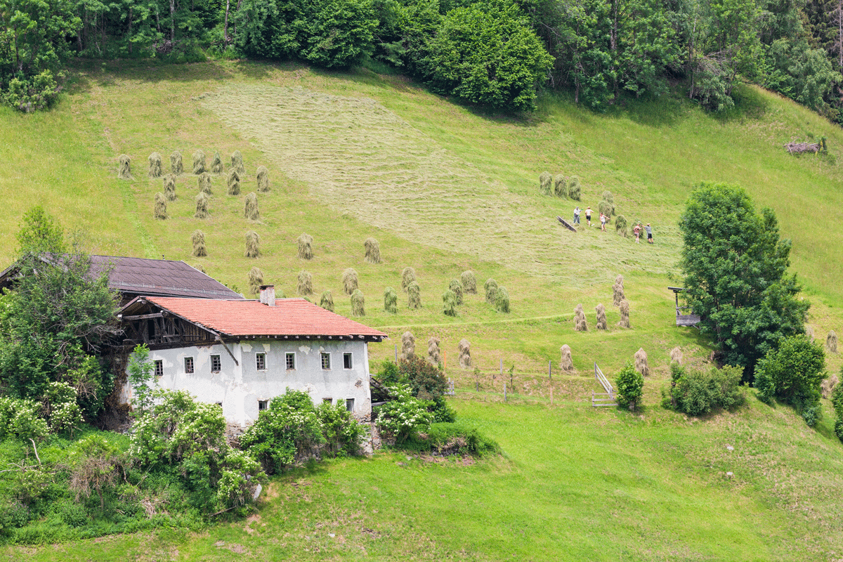 GaP © Michaela Kölle GaP © Michaela Kölle