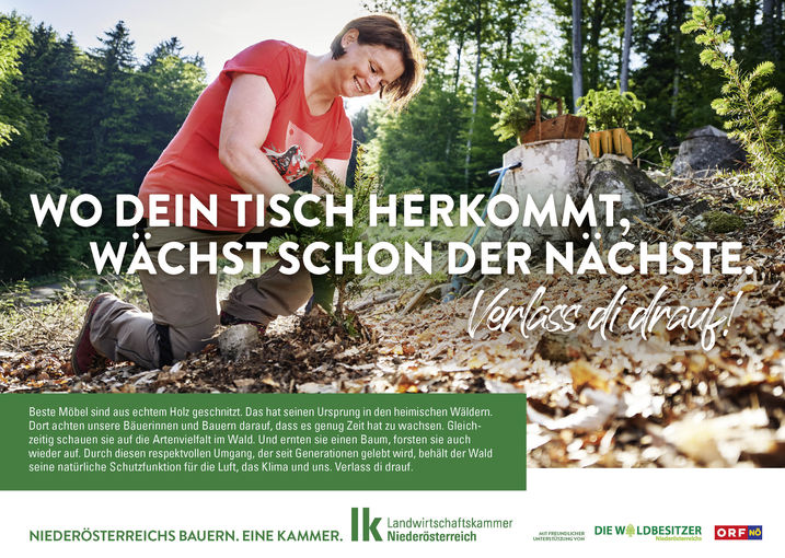 LKNOE_Inserat_274x195mm_Holz.jpg © LK Niederösterreich LKNOE_Inserat_274x195mm_Holz.jpg © LK Niederösterreich