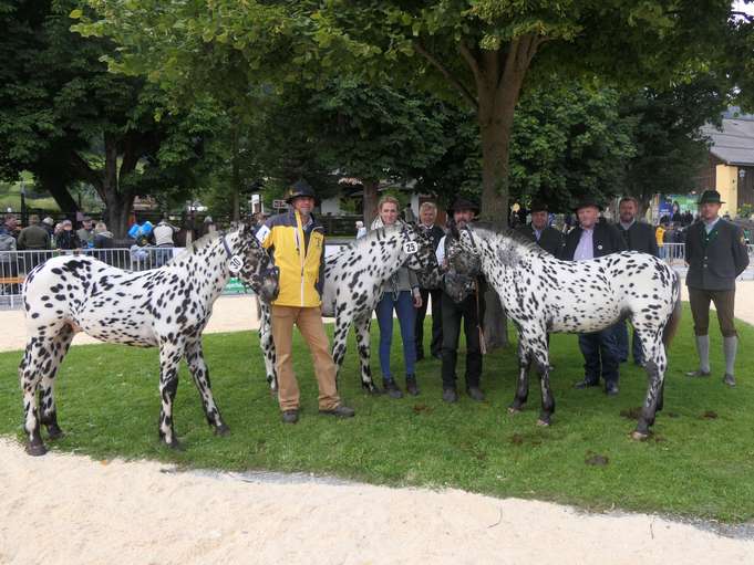 Fulminanter Start beim Rösslmarkt.jpg