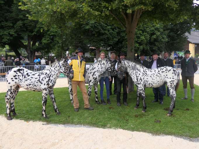 Fulminanter Start beim Rösslmarkt.jpg © Lanschützer Fulminanter Start beim Rösslmarkt.jpg © Lanschützer