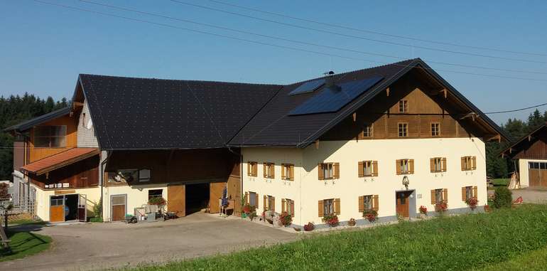 Gezielte Anpaarung ist uns wichtig – Schafleitner in Oberhofen.jpg © Privat Gezielte Anpaarung ist uns wichtig – Schafleitner in Oberhofen.jpg © Privat