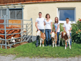 Gezielte Anpaarung ist uns wichtig – Schafleitner in Oberhofen.png