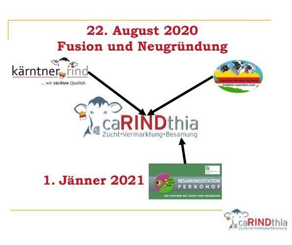 Carindthia.jpg © caRINDthia