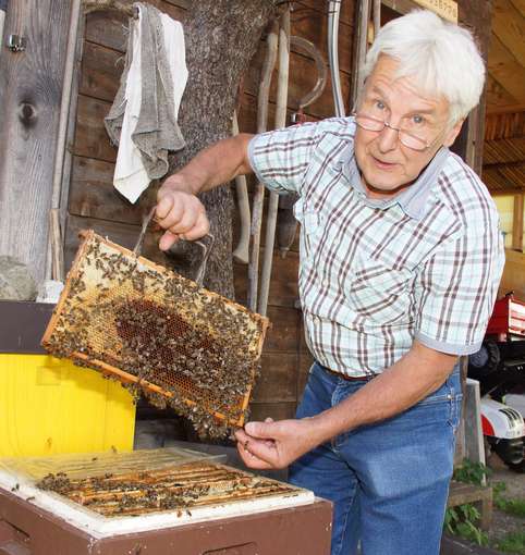 sb35_hw_bienensepp.jpg © Gudrun Dürnberger sb35_hw_bienensepp.jpg © Gudrun Dürnberger