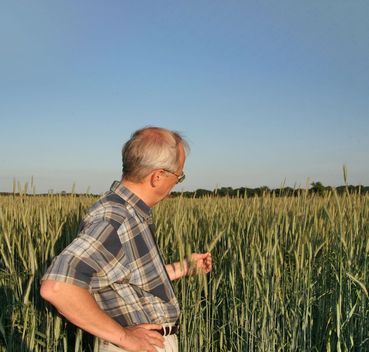 Roggen_Fruchtentwicklung_J_3-ID55148.jpg © agrarfoto Roggen_Fruchtentwicklung_J_3-ID55148.jpg © agrarfoto
