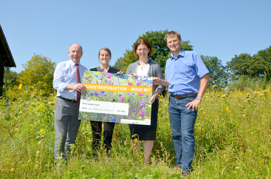 PA Bilanz Blühstreifen neu_LK OÖ_kl.jpg © Landwirtschaftskammer Oberösterreich PA Bilanz Blühstreifen neu_LK OÖ_kl.jpg © Landwirtschaftskammer Oberösterreich