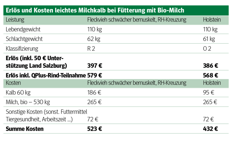 Absatzwege bei Kälbern optimieren.png © Archiv Absatzwege bei Kälbern optimieren.png © Archiv