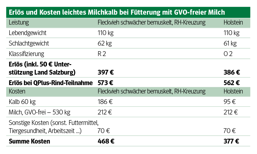 Absatzwege bei Kälbern optimieren.png © Archiv Absatzwege bei Kälbern optimieren.png © Archiv