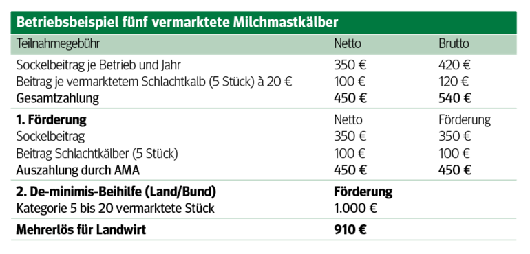 Absatzwege bei Kälbern optimieren.png © Archiv Absatzwege bei Kälbern optimieren.png © Archiv