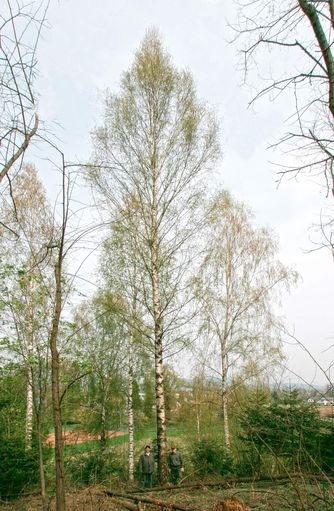 Foto 2_IMG_8597b_b.jpg © Ing. Vaboschek