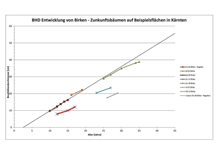 Grafik 1_Daten Beispielsflächen.jpg © Archiv