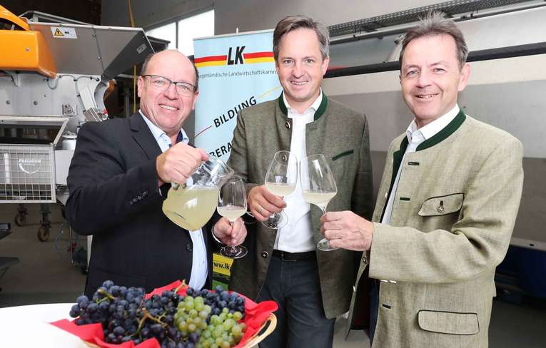 weinlesereise judt.jpg weinlesereise judt.jpg